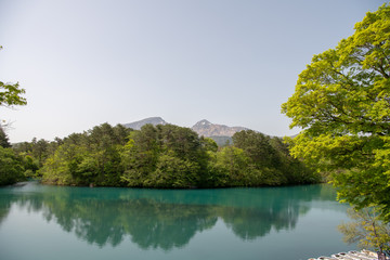 Fototapeta premium Fukushima