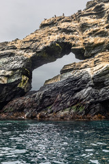 Sea birds on their nests at a cliff inside Chañaral Island an amazing place for bird watching and sea life observing. An awe natural environment in the middle of the Pacific Ocean to enjoy wilderness