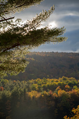 New England Fall