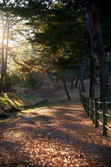 Uireung Royal Tombs of the Joseon Dynasty located in Seoul, Korea.
