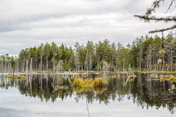 New England Fall