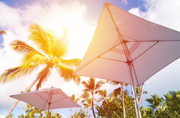 Sunshade umbrellas and coconut palm trees on blue sky and clouds background