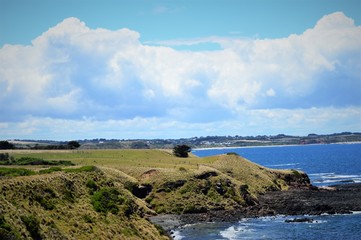 Fototapeta na wymiar Coast of Phillip Island.Victoria.Australia