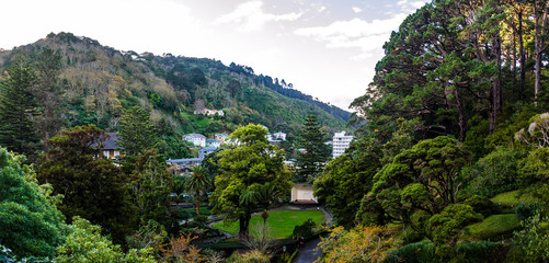 Fototapeta na wymiar The Soundshell in Wellington Botanic Garden, New Zealand