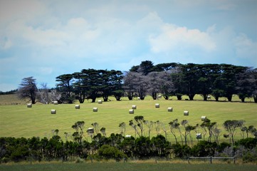 Haystacks on the field.Phillip Island.Victoria.Australia