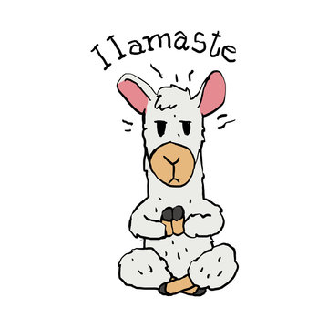 Llamaste - funny llama cartoon