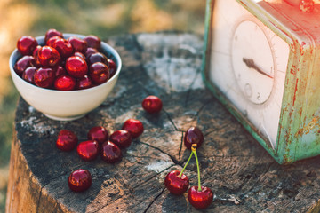 Beautiful background with cherry and old weights
