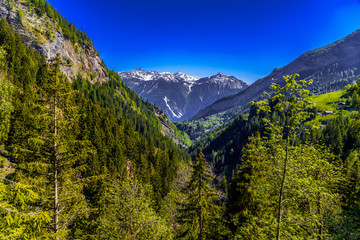 Alps mountains covered with pine forest, Leukerbad, Leuk, Visp,