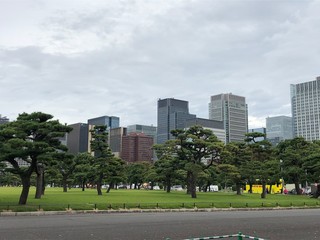 Nature and buildings, Tokyo (mobile photo)