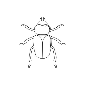 beetle icon. Element of insect for mobile concept and web apps icon. Thin line icon for website design and development, app development