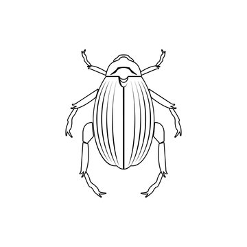 recommend clip art: beetle goliath icon. Element of insect for mobile concept and web apps icon. Thin line icon for website design and development, app development