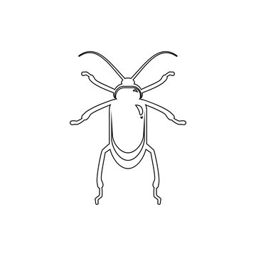 beetle icon. Element of insect for mobile concept and web apps icon. Thin line icon for website design and development, app development