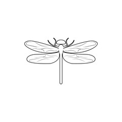 dragonfly icon. Element of insect for mobile concept and web apps icon. Thin line icon for website design and development, app development