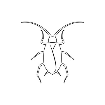 cockroach icon. Element of insect for mobile concept and web apps icon. Thin line icon for website design and development, app development