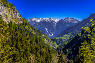 Alps mountains covered with pine forest, Leukerbad, Leuk, Visp,