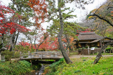 Naklejka premium 紅葉と古民家