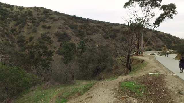 A dolly up shot revealing the trails of Runyon Canyon in the hills of Los Angeles on an overcast day.  	