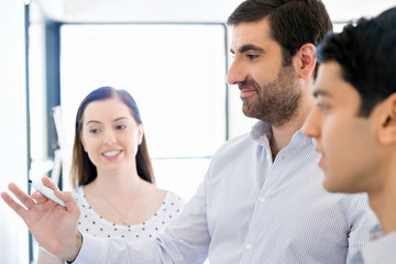 Business meeting with presentation