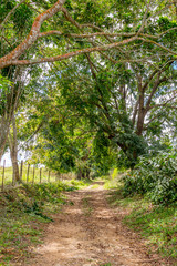 Puerto Rico the Enchanted Isle