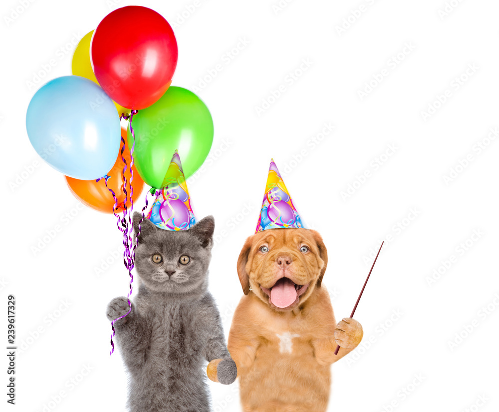 Aufkleber cat and dog in party hats holding balloons and pointin away on empty space. isolated on white backgr
