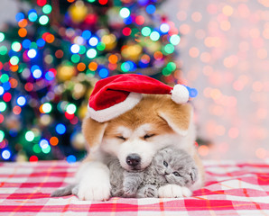 Fototapeta na wymiar Akita inu puppy in red santa hat embracing tiny kitten with Christmas tree on a background