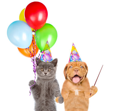 Cat and Dog in party hats holding balloons and pointin away on empty space. isolated on white background