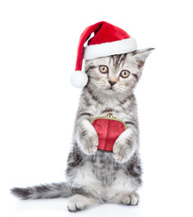 Kitten in red santa hat with retro wallet. isolated on white background