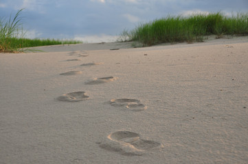 foot print in the sand