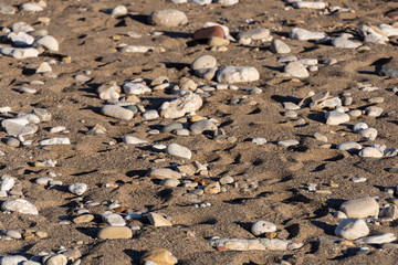 Rocks on the beach