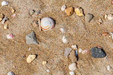 Puerto Rico the Enchanted Isle