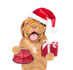 Happy puppy in red santa hat with retro wallet and gift box. isolated on white background