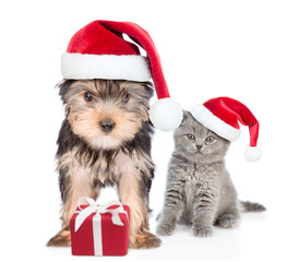 Puppy and kitten in red christmas hats with gift box. isolated on white background
