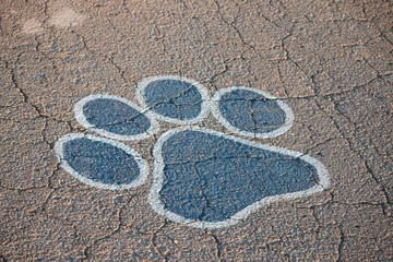 Painted Paw print