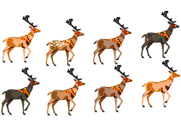 Obraz premium A set of eight deer of different colors.