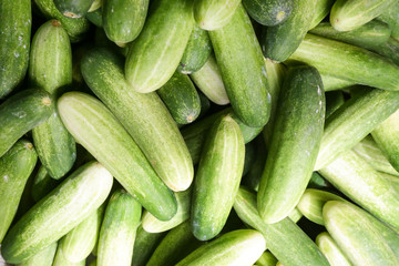 A heap of green zucchinis at the farmers market