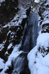 Fototapeta na wymiar 冬の不動の滝