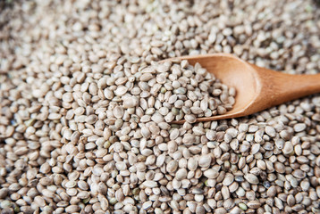 Wooden spoon of hemp seeds. Healthy dietary supplement for weight loss.