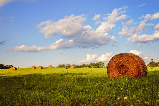 Fototapeta Rolled hay bale in a field in wisconsin