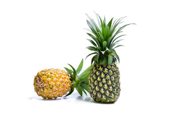 Fresh Pineapple