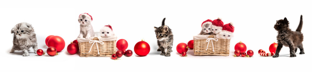 Fototapeta na wymiar Set of kittens with new year decorations