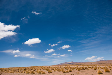 Fototapeta na wymiar Sunshine desert field in Bolivia