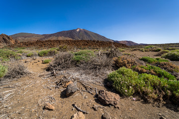 The lava fields of Las Canadas caldera and Teide volcano in the background. Tenerife. Canary Islands. Spain.