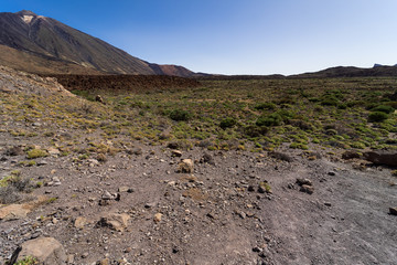 The lava fields of Las Canadas caldera and Teide volcano in the background. Tenerife. Canary Islands. Spain.