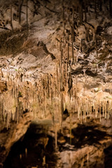 The groom in the cave.