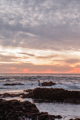 Fototapeta premium Bird watching the Sunset