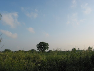 Obraz premium Heidkate Sommer