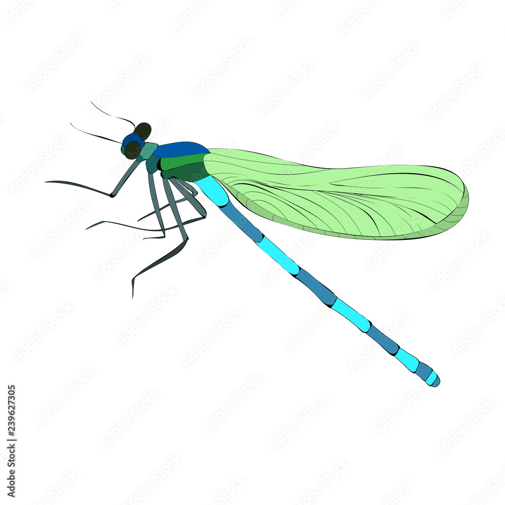 Sticker isolated bright flying dragonfly