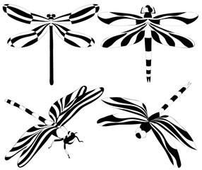 set of black and white flying dragonfly silhouettes