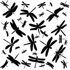 set, silhouette of a flying dragonfly