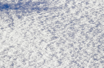 Snow texture, winter background. The concept of Christmas or New Year. Selective focus.